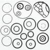Johnson Evinrude OMC OEM Outboard Trim & Tilt O-Ring Repair Kit, 0434519