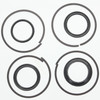 Johnson Evinrude OMC OEM Outboard Trim & Tilt O-Ring Repair Kit, 0434519