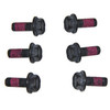 Sea-Doo New OEM PWC Flywheel Magneto Screw/Bolt Kit 4-Tec Stroke, 295501162