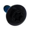 Polaris OEM Screw (M8 x 1.0 x 20), 7519112