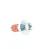 Can-Am OEM Torx-Truss M/S M5 X 14 S.Grip, 250000763
