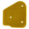 Polaris OEM Air Cleaner Element, 0450073