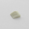 Johnson Evinrude OMC OEM White Impeller Key, 0777854 0331107