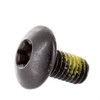 Can-Am OEM Nylon Torx Screw (M6 x 12) for Renegade, 250000454