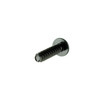 Sea-Doo New OEM Body Torx Screw, 250001007