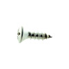 Sea-Doo New OEM Tapping Screw (M5 X 19), 209951960