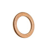 Can-Am New OEM Gasket Ring, 420650465
