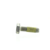 Polaris New OEM  Storage Compartment Assembly Screw, 7516805