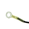 Can-Am New OEM Ground Cable, 710002091