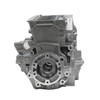 Can-Am New OEM Crankcase Ass'y, 420893001