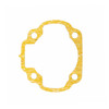 Polaris New OEM Cylinder Head Gasket, 0450009