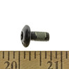 Can-Am New OEM Torx Truss Screw (M6 X 14), 250000439