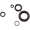 K&S Technologies New KTM Adventure Engine Oil Seal Kit, 51-6001, 15130021000