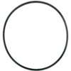 Johnson Evinrude OMC New OEM Impeller Housing Rubber O-Ring, 0910238