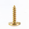 Arctic Cat New OEM Self Tapping Screw (#10-12X3/4), 0623-700