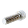 Mercury Marine/Mercruiser  New OEM Screw, 10-38615