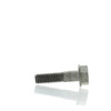 Johnson Evinrude OMC New OEM Gearcase to Housing Screw, 0309244