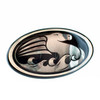 Johnson Evinrude OMC New OEM Starboard and Rear Seahorse Lens Emblem, 0346479