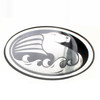 Johnson Evinrude OMC New OEM Starboard and Rear Seahorse Lens Emblem, 0346479