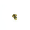 Johnson Evinrude OMC OEM Carburetor Plug Screw 200-250HP 1997-2001, 0344267