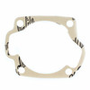 Ski-Doo New OEM Cylinder Flange Gasket, 420830300