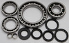 ALL BALLS Differential Bearing & Seal Kit, 22-52059