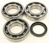 ALL BALLS Crank Brng Kit- P400 '04 Pol S Portsman, 24-41090