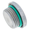 Polaris OEM Hex Socket Plug w/ O-Ring, 7052643