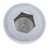Polaris OEM Hex Socket Plug w/ O-Ring, 7052643