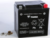 YUASA GRT/YTZ Battery, 49-1976
