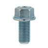 Polaris OEM Hexagonal Bolt, 0455520