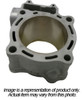 CYLINDER WORKS Standard Bore Cylinder, 422-20002