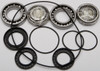 ALL BALLS Differential Bearing & Seal Kit, 22-52093