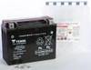 YUASA AGM Maintenance Free Battery, 49-1989