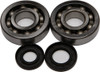 ALL BALLS Crankshaft Bearing & Seal Kit, 22-41047