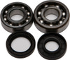 ALL BALLS Crankshaft Bearing & Seal Kit, 22-41023