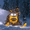 Ski-Doo New OEM RAS RX Front Suspension, 860202843