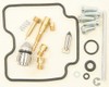 ALL BALLS Carburetor kit, 226-1095