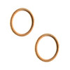Can-Am New OEM Drive Copper Washer Set Of 2, 705500506