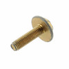 Mercury / Marine / Mercruiser New OEM Screw Set of 2 10-823444