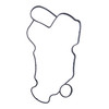 Sea-Doo New OEM Oil Pump Housing Gasket, 420631480