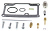 ALL BALLS Carburetor kit, 226-1571