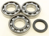 ALL BALLS Crankshaft Bearing & Seal Kit, 22-41076