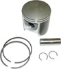 WSM Piston Kit, 78-81600P