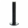 Can-Am OEM Torx Truss Screw M6 X 30 Nylon 50 Pack, 250000398