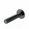 Can-Am OEM Torx Truss Screw M6 X 30 Nylon 25 Pack, 250000398