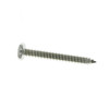 Sea-Doo OEM Pan Head Tapping Screw (M4.8 X 38) 2 Pack, 250000089