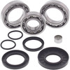 ALL BALLS Differential Bearing & Seal Kit, 22-52102