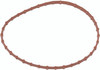 HARDDRIVE Fuel Pump Door Gasket, 820-52272