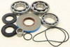 ALL BALLS Differential Bearing & Seal Kit, 22-52107